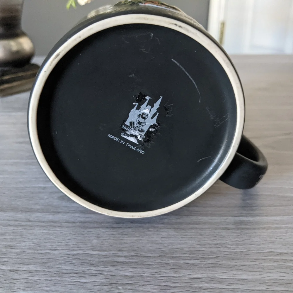 Walt Disney World Mug w/ Matte Finish